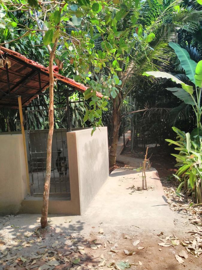 Cordel Farms Mangalore Bagian luar foto